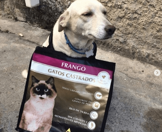 Trabalhar com resíduos?