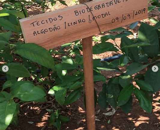 Composteira para tecidos